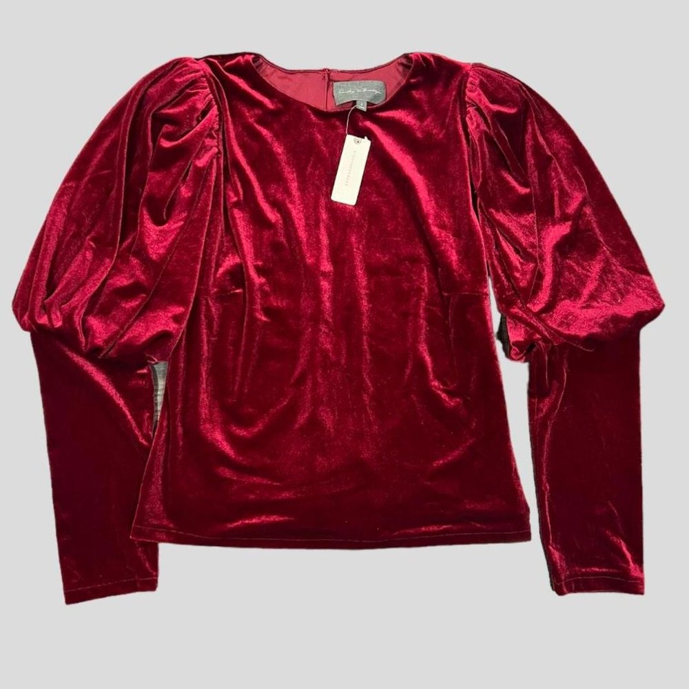 NWT RED ANTHROPOLOGY VELVET TOP W/ BIG SLEEVE